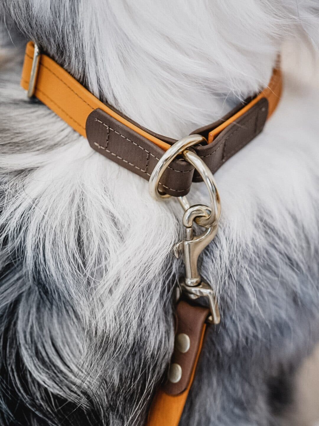 Halsband